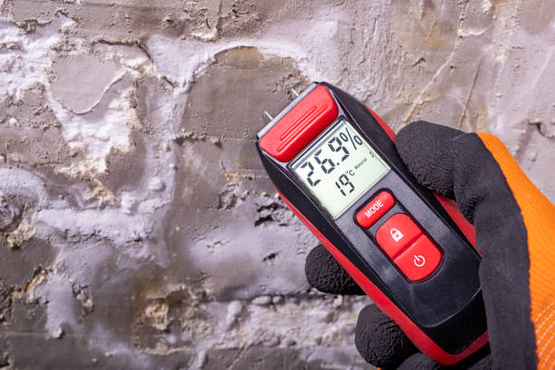 Best Mold Removal Company Near Me  in Paonia, CO