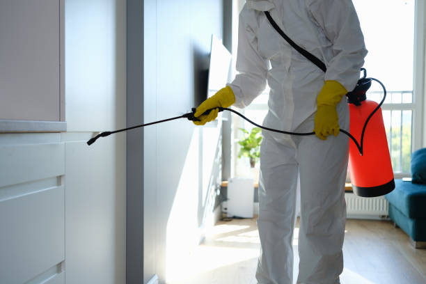 Best Certified Mold Removal  in Paonia, CO